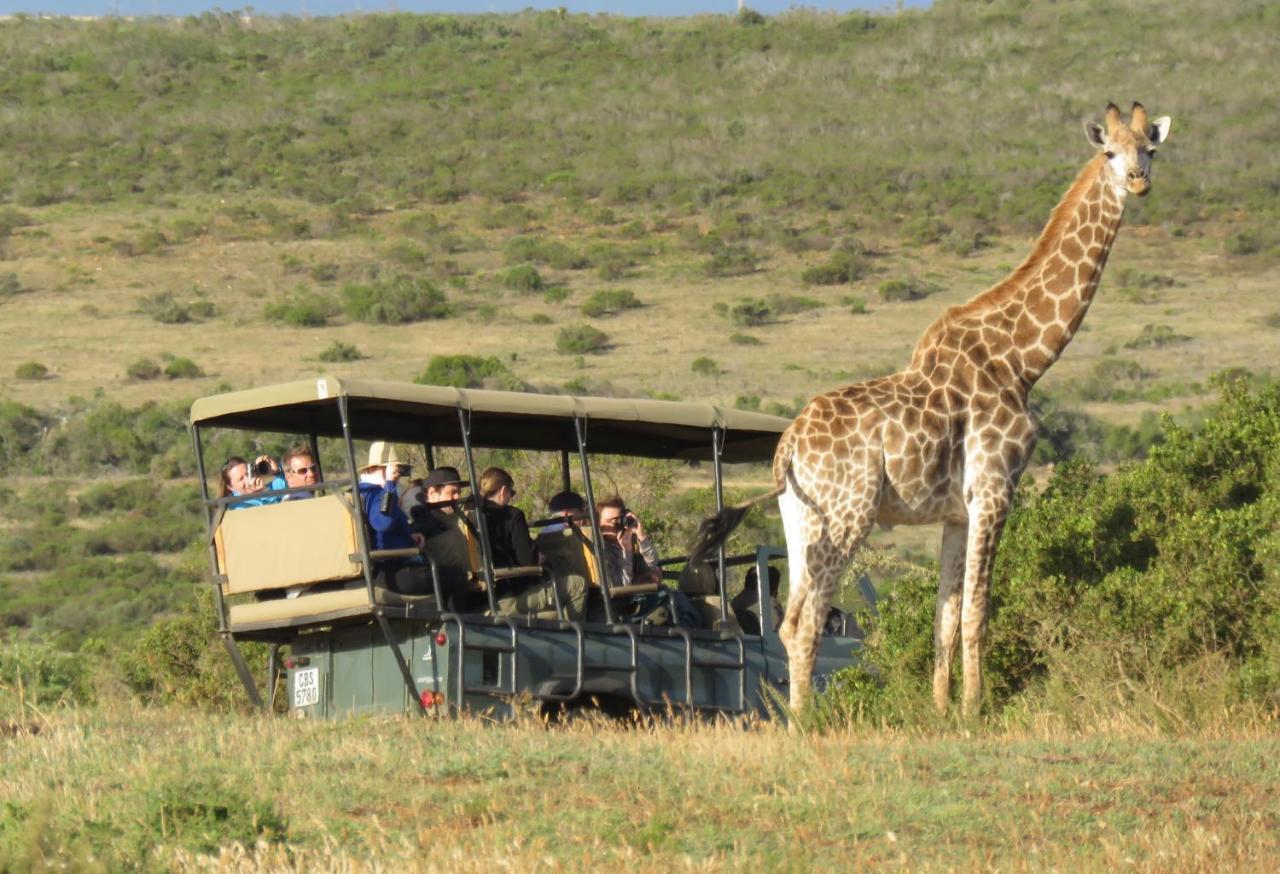 Garden Route Game Lodge Albertinia Exterior photo