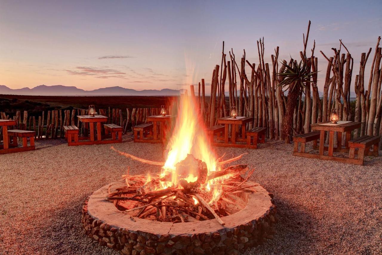 Garden Route Game Lodge Albertinia Exterior photo