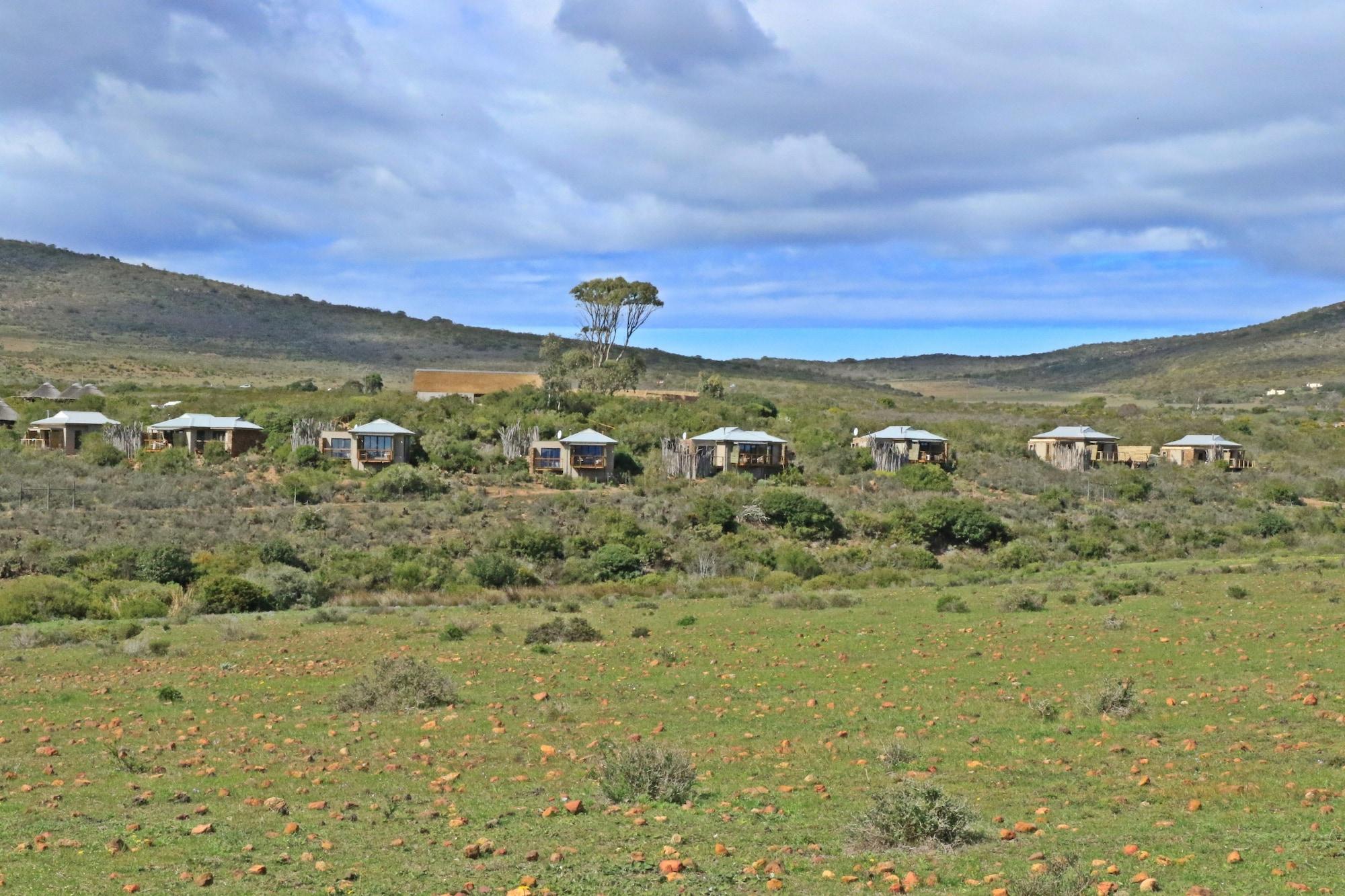 Garden Route Game Lodge Albertinia Exterior photo