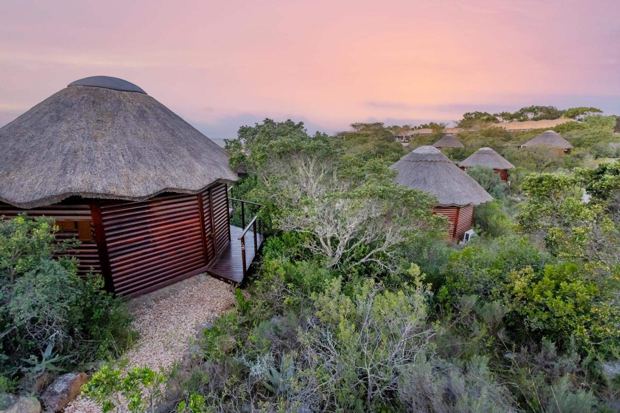 Garden Route Game Lodge Albertinia Exterior photo