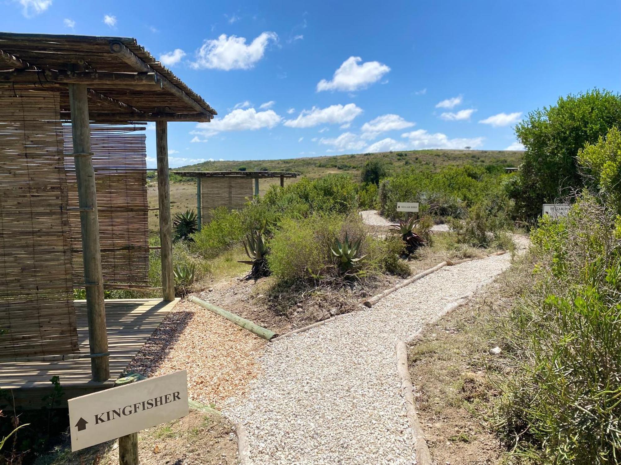 Garden Route Game Lodge Albertinia Exterior photo