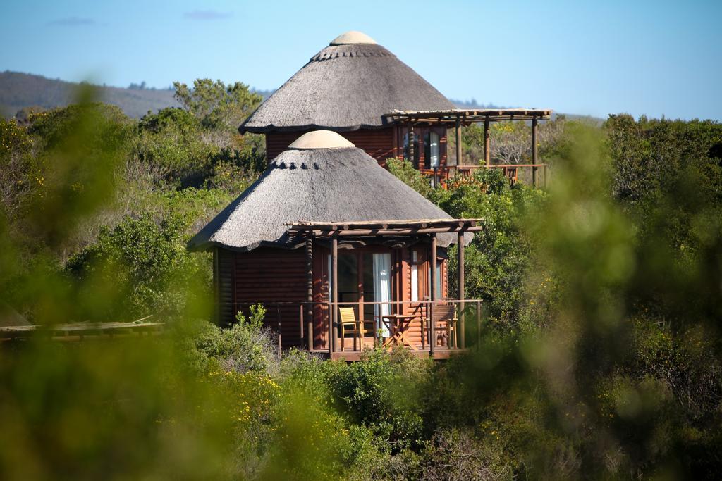 Garden Route Game Lodge Albertinia Exterior photo